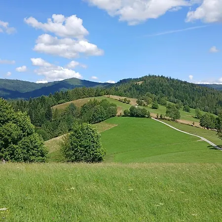Wiselka
