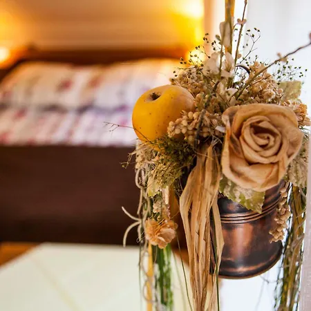 Wiselka Bed & Breakfast Wisla