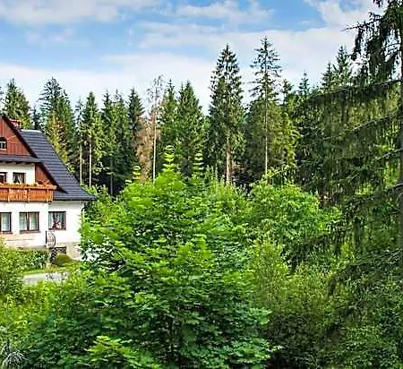 Wiselka 3*
