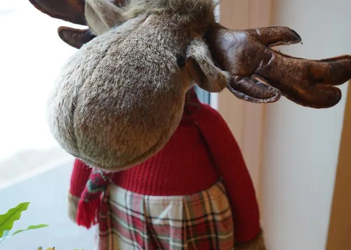 Wiselka Bed & Breakfast Wisla